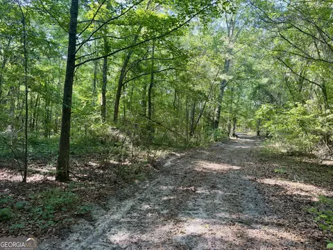 0 Folds Rd, Pineview, GA 31071 photo 25
