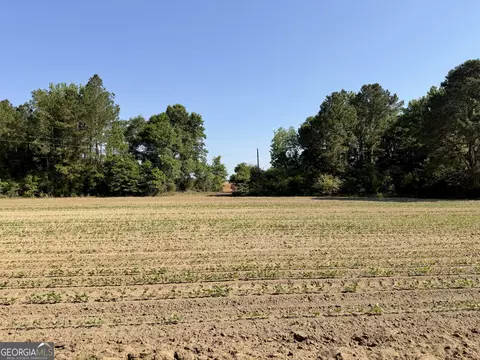 0 Folds Rd, Pineview, GA 31071 photo 37