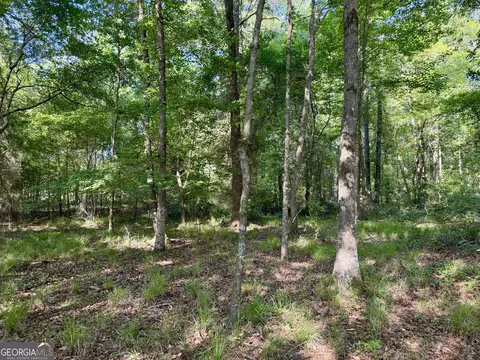 0 Folds Rd, Pineview, GA 31071 photo 30