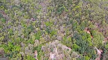 Tract 2 Clayton Gooch Road, Dahlonega, GA 30533