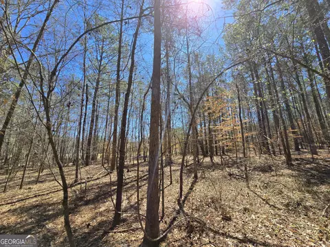 0 River Shoals Ct, Covington, GA 30016 photo 8