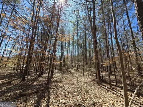 0 River Shoals Ct, Covington, GA 30016 photo 9