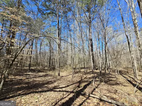 0 River Shoals Ct, Covington, GA 30016 photo 6