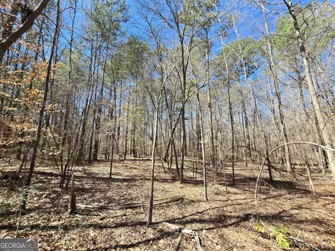 0 River Shoals Ct, Covington, GA 30016 photo 13