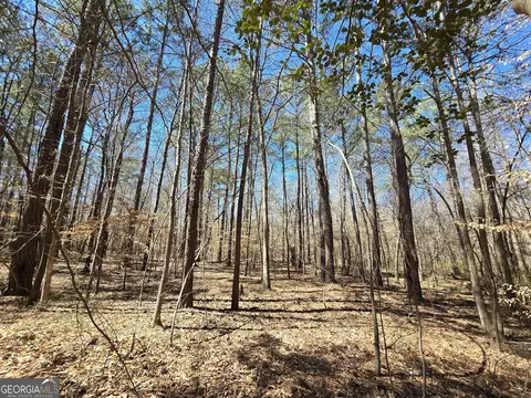 0 River Shoals Ct, Covington, GA 30016 photo 10
