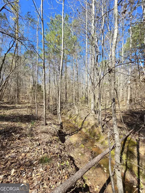 0 River Shoals Ct, Covington, GA 30016 photo 15