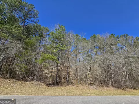 0 River Shoals Ct, Covington, GA 30016 photo 5