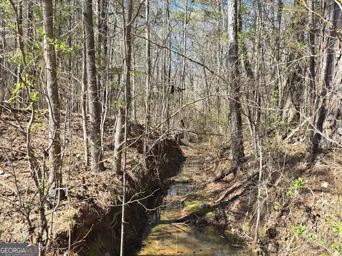 0 River Shoals Ct, Covington, GA 30016 photo 16