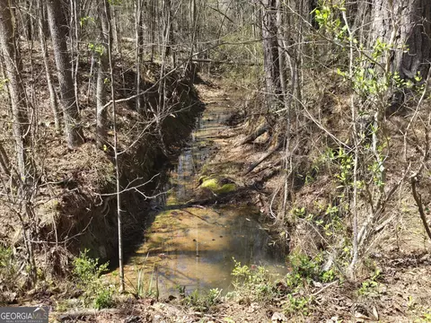 0 River Shoals Ct, Covington, GA 30016 photo 3