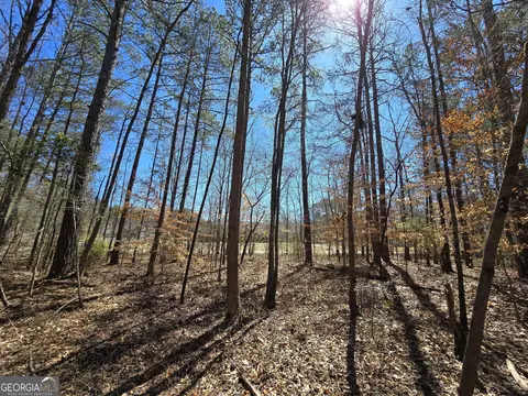 0 River Shoals Ct, Covington, GA 30016 photo 12