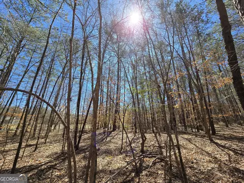 0 River Shoals Ct, Covington, GA 30016 photo 7