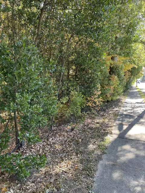0 Atlanta St, Mcdonough, GA 30253