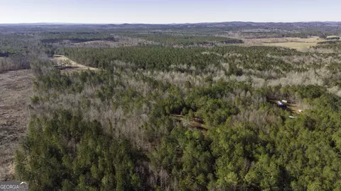 0 County Road 49, Fruithurst, AL 36262 photo 7