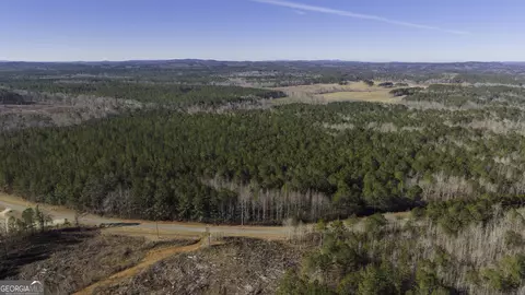 0 County Road 49, Fruithurst, AL 36262 photo 5