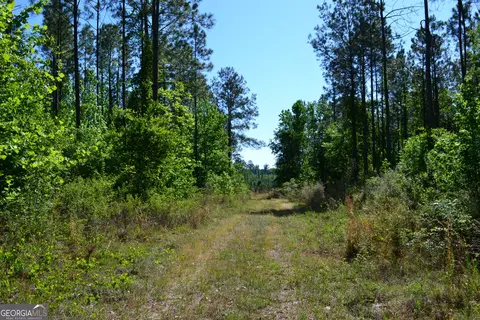 0 Scotland Rd, Dublin, GA 31021
