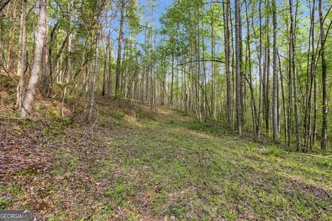 6668 Belton Bridge Rd, Lula, GA 30554 photo 31