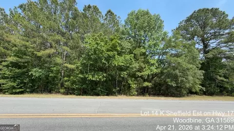 lot14 K Sheffield Est On Hwy 17, Woodbine, GA 31569