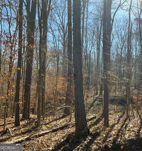 0 Long Leaf Dr, Thomson, GA 30824 photo 4