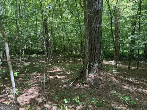 565 Avery Rd, Canton, GA 30115 photo 8