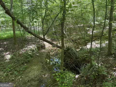 565 Avery Rd, Canton, GA 30115 photo 10