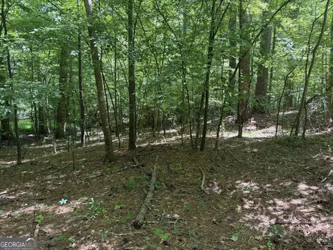 565 Avery Rd, Canton, GA 30115 photo 9