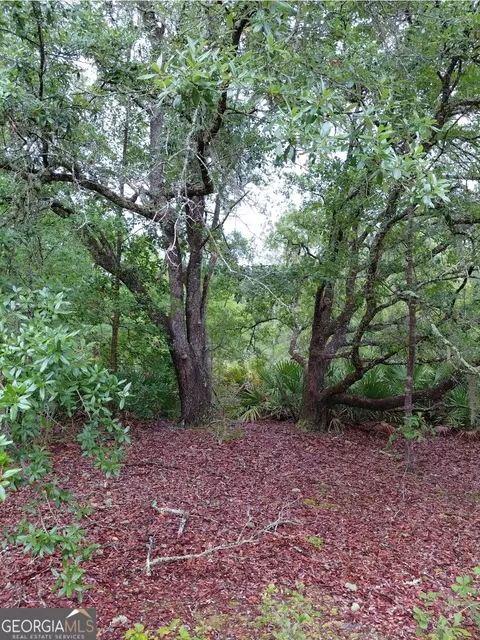 779 Ralph Davis Rd #1 LAND, Folkston, GA 31537