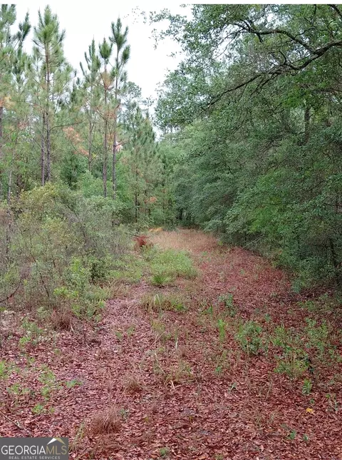 779 Ralph Davis Rd, Folkston, GA 31537