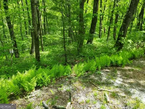 0 Lot 5 Rebel Cir, Sky Valley, GA 30537