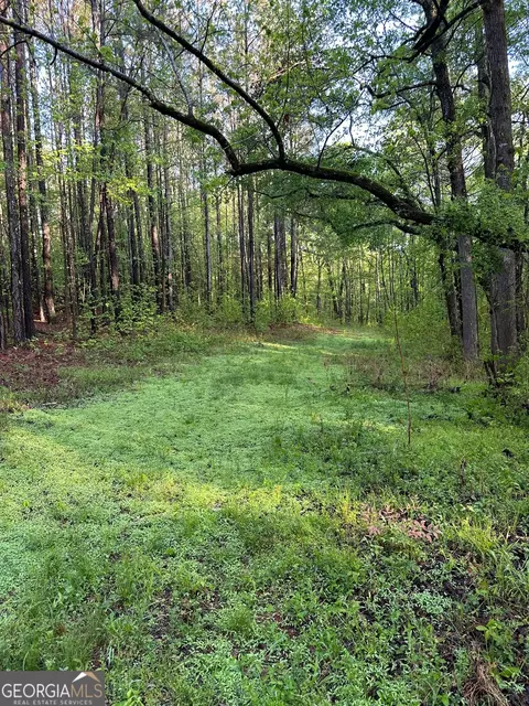 1433 Cleveland Farm Rd, Locust Grove, GA 30248