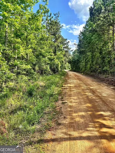 O Johnson Road, Musella, GA 31066