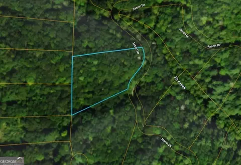 lot Apt 206 Dowel Cir, Ellijay, GA 30540