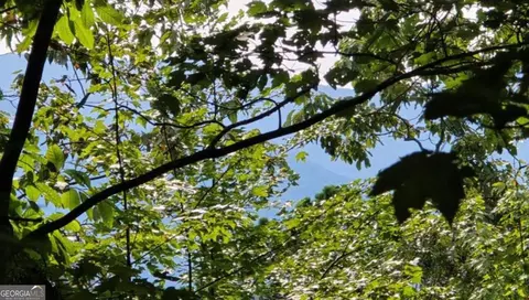 lot17 Abbott Mill Rd, Ellijay, GA 30540