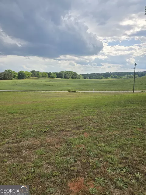 250 Brown Rd, Carnesville, GA 30521 photo 4