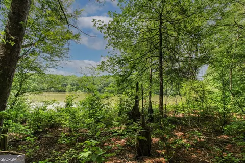0 Mccarty Rd, Statham, GA 30666 photo 8