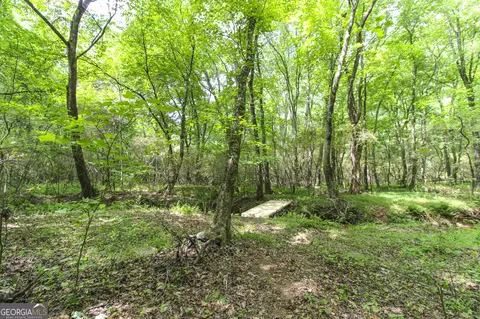 0 Mccarty Rd, Statham, GA 30666 photo 15