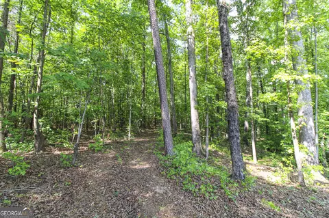 0 Mccarty Rd, Statham, GA 30666 photo 17