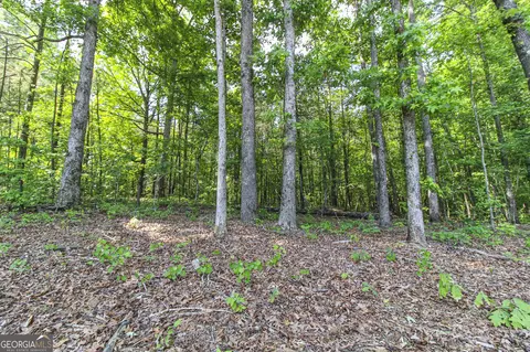 0 Mccarty Rd, Statham, GA 30666 photo 18