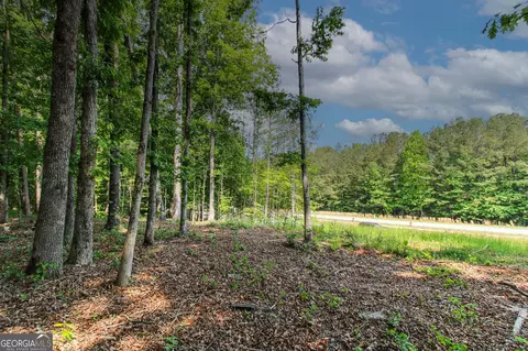 0 Mccarty Rd, Statham, GA 30666 photo 9