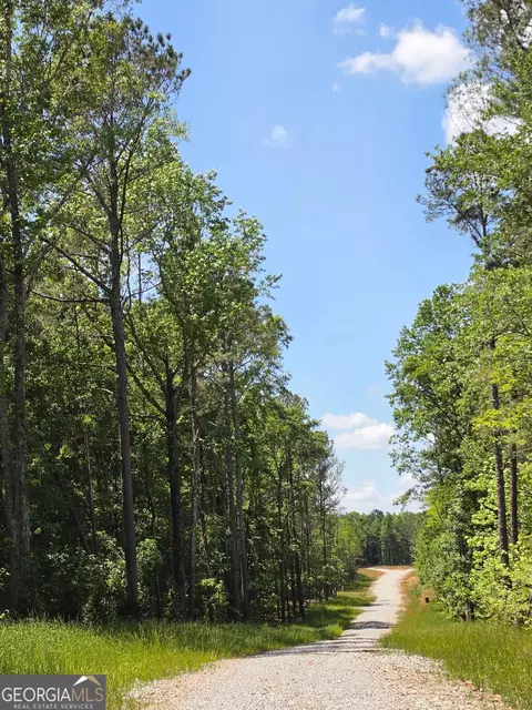 148 Berry Rd #LOT 12A, Barnesville, GA 30204 photo 5