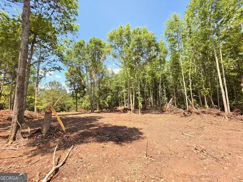 148 Berry Rd #LOT 12A, Barnesville, GA 30204 photo 4