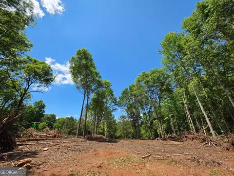 148 Berry Rd #LOT 12A, Barnesville, GA 30204 photo 6