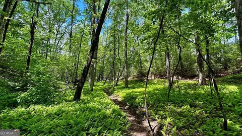 lot12 Frances Dr, Ellijay, GA 30536