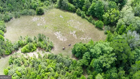 0 County Road 231, Abbeville, AL 36310