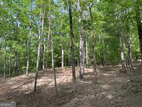 0 Bullock Bridge Rd, Monroe, GA 30656 photo 5