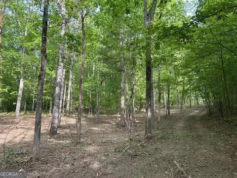 0 Bullock Bridge Rd, Monroe, GA 30656 photo 7
