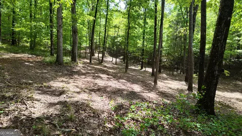 0 Bullock Bridge Rd, Monroe, GA 30656 photo 42