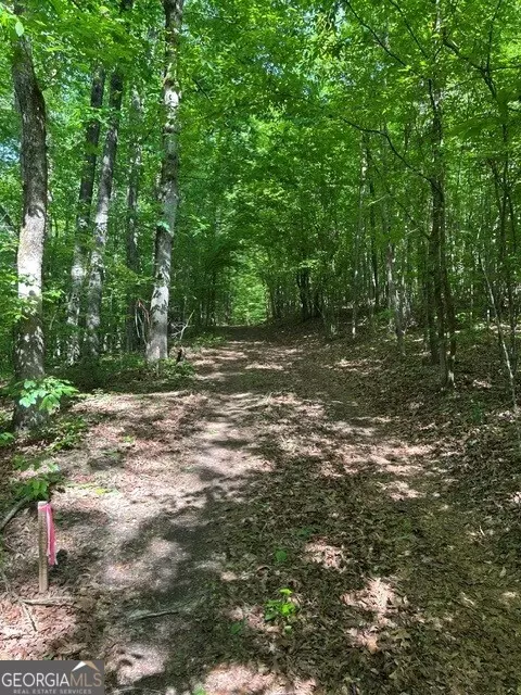 0 Bullock Bridge Rd, Monroe, GA 30656 photo 37