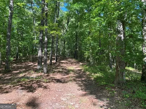 0 Bullock Bridge Rd, Monroe, GA 30656 photo 38