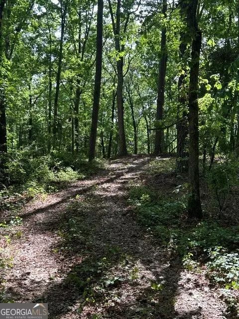 0 Bullock Bridge Rd, Monroe, GA 30656 photo 39