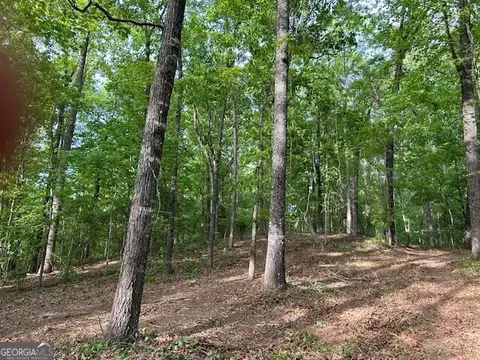 0 Bullock Bridge Rd, Monroe, GA 30656 photo 10
